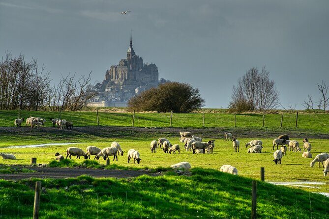 2 Hours Private Walking Tour of Mont Saint Michel - Practical Aspects & Considerations