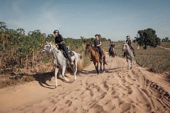 2 Hours Scenic Horse Trail Riding in Pattaya Thailand - The Details of the Tour Experience