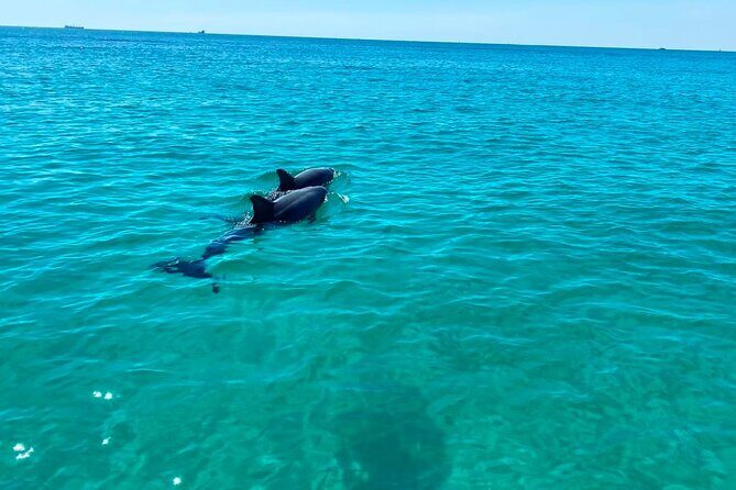 2 Hours Shell Island Jet Ski Tour - The Sum Up