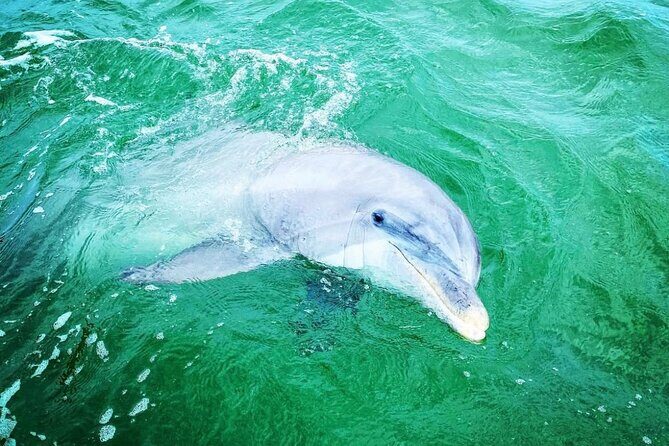 2 Hours Shell Island Jet Ski Tour - FAQ