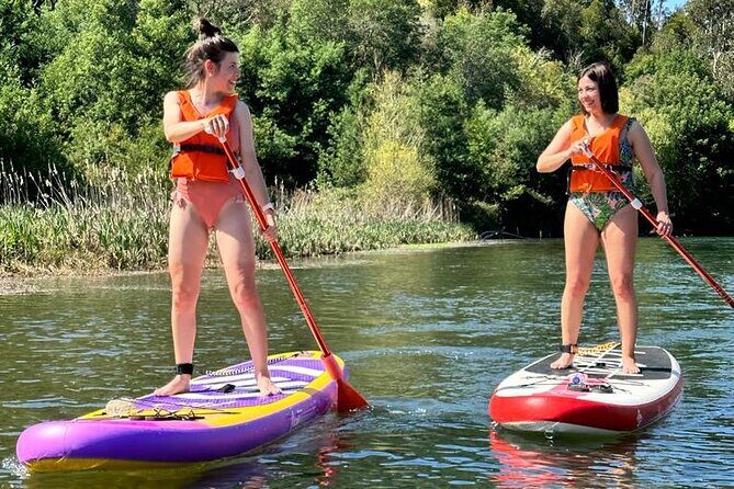 2 Hours SUP Activity on Arda River - What You Can Expect During the Tour