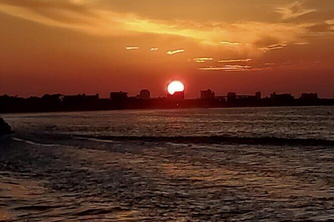 2 Hours Swim with the Dolphins in Panama City - The Sum Up