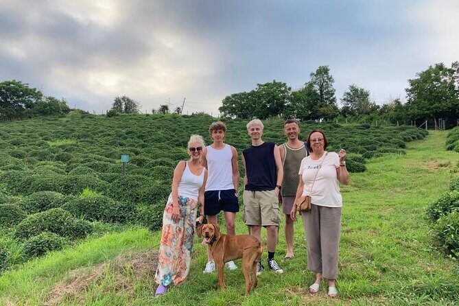 2 Hours Tea House and Tea Garden Trip in Ozurgeti Georgia - Key Points