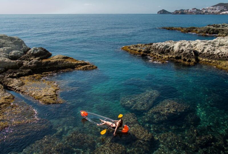 2 Hours Tour - Transparent Kayak Tour - The Experience in Detail