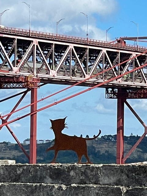 2 hours tuktuk tours in Lisbon in EnglishRussianHebrew - Who Is This Tour Best Suited For?