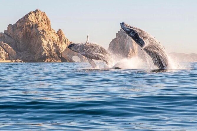 2 in 1 Tour | Arc Tour with Beach Drop - What’s Included and What’s Not