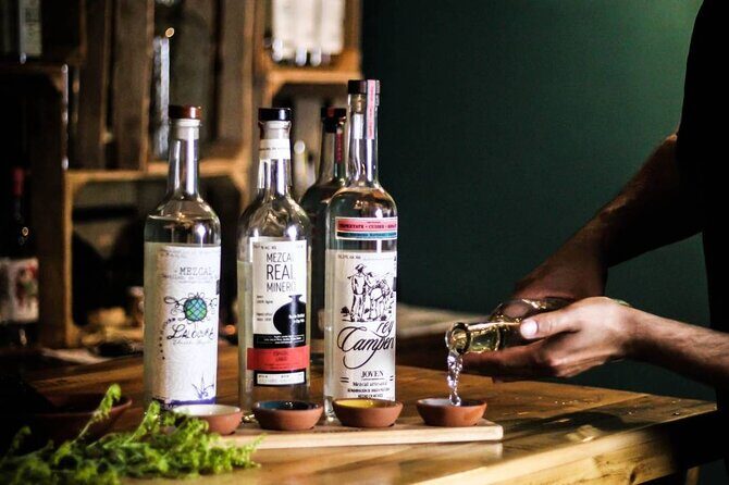 2 Island Adventure: Contoy & Mujeres with Snorkeling & open bar - Practical Tips for Travelers