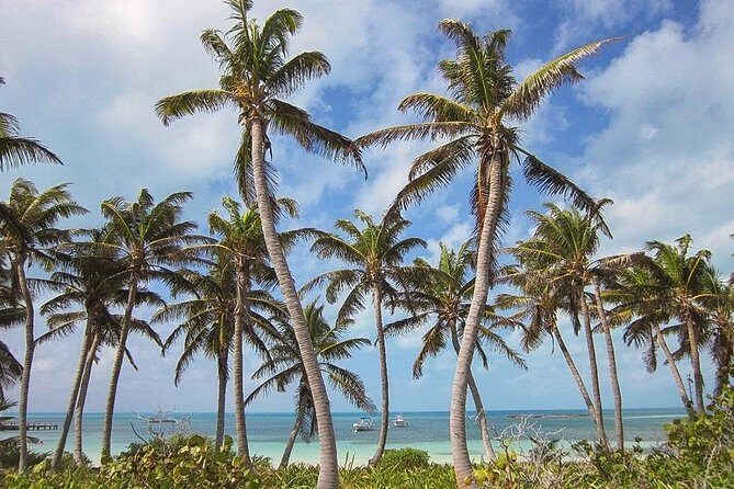 2 Islands Tour - Isla Contoy and Isla Mujeres from Playa del Carmen - Authentic Experiences and Authenticity