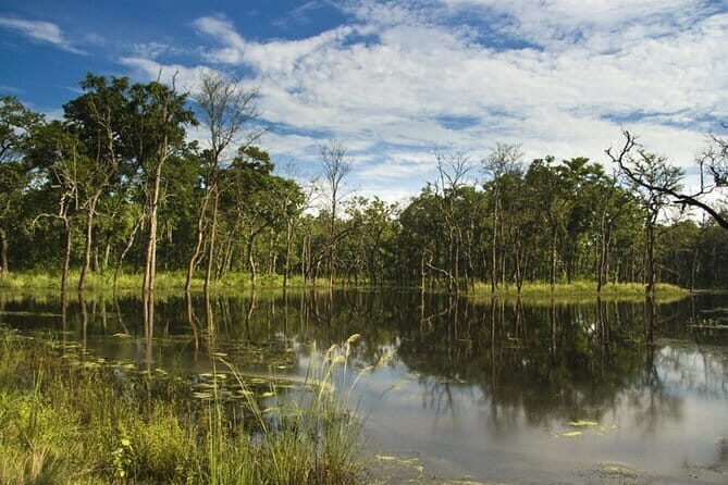 2 Night 3 Day Chitwan Jungle Safari Tour from Pokhara - Exploring the Itinerary in Detail