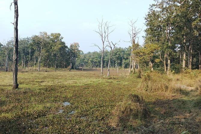 2 Night 3 Days Chitwan Jungle Safari Tour from Kathmandu - The Sum Up