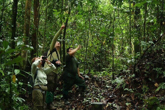 2-Night Danum Valley Borneo Rainforest Lodge Hiking and Wildlife Adventure - Key Points