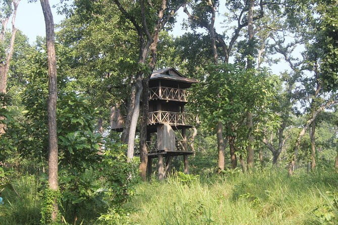2 Nights 3 Days Chitwan National Park Package with Jeep Safari - Who Is This Tour Best For?