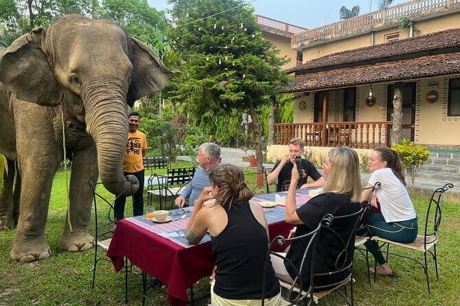 2 Nights 3 Days Chitwan National Park Package with Jeep Safari - FAQ