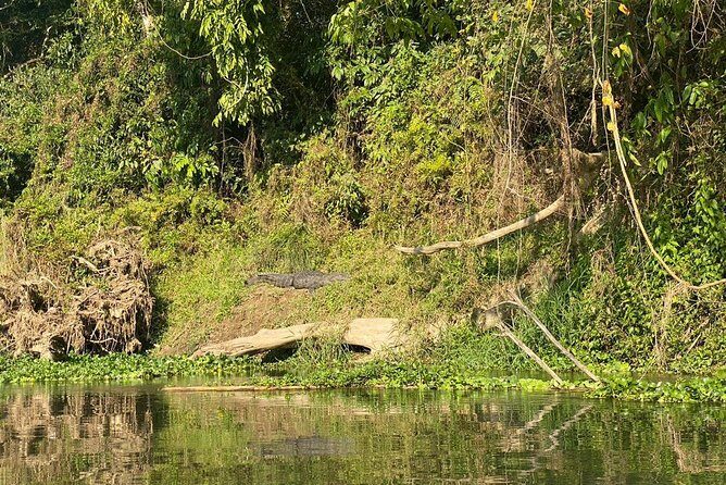 2 Nights 3 Days Chitwan Wildlife Jungle Safari Package Tour - An In-Depth Look at the Chitwan Safari Experience