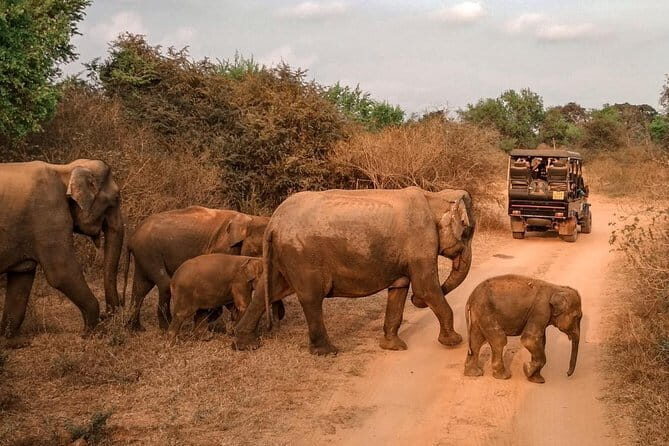2 Nights 3 Days Tour from Colombo, Sri Lanka - FAQ