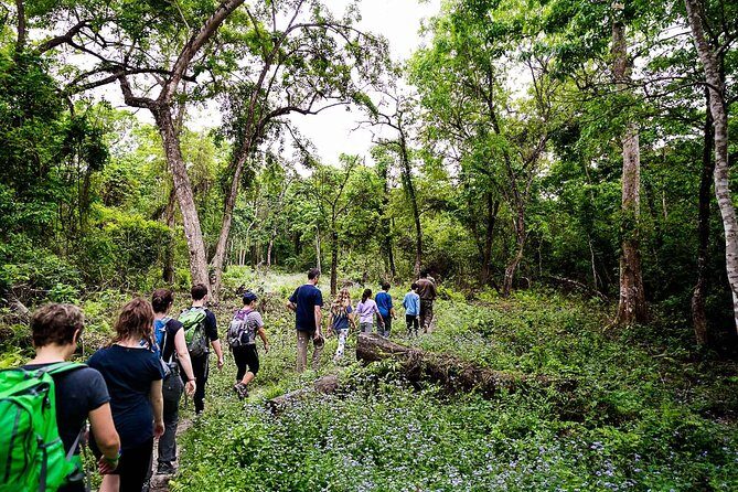 2 Nights Chitwan Luxury Tour from Kathmandu or Pokhara - Why This Tour Offers Great Value