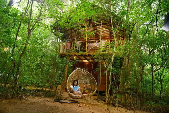2 Nights in a Tree House in Sigiriya-with nature based activities - Key Points