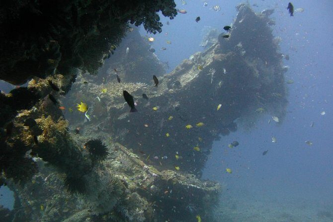 2 PADI Certified Dives at Tulamben from Bali - The Practicalities: What You Need to Know