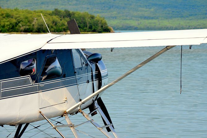 2 Park Bear Viewing Adventure to Katmai and Lake Clark NP - Analyzing the Value
