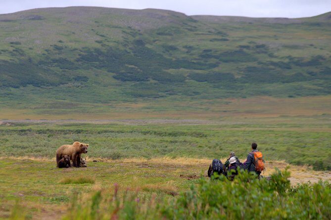 2 Park Bear Viewing Adventure to Katmai and Lake Clark NP - FAQ