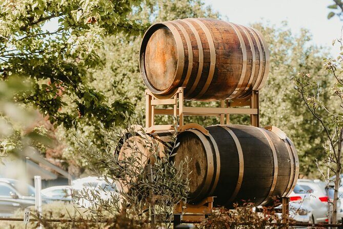 2 People - Premium Wine Tasting Experience and 2-Course Lunch - An In-Depth Look at the Experience