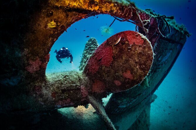 2 Scuba Fun Dives for Certified divers in St Paul's Bay - Key Points