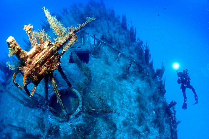 2 Scuba Fun Dives for Certified divers in St Paul's Bay - The Dive Experience: What You’ll See and Feel