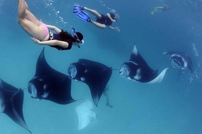 2 Spots Snorkeling Tour with Manta Rays point in Nusa Penida - FAQ