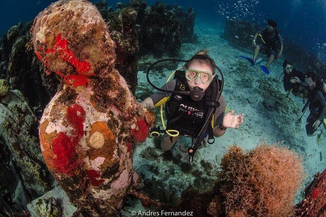 2 Tank Dives MUSA and Manchones reef (Certified divers) - What Is the Tour All About?