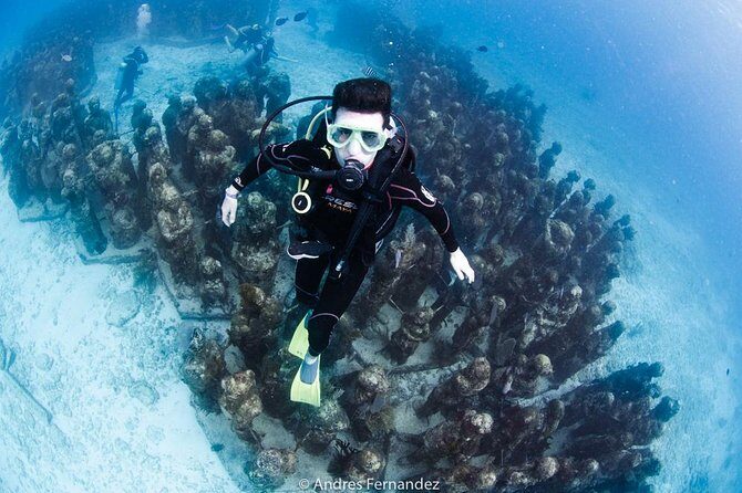2 Tank Dives MUSA and Manchones reef (Certified divers) - What to Expect on the Day