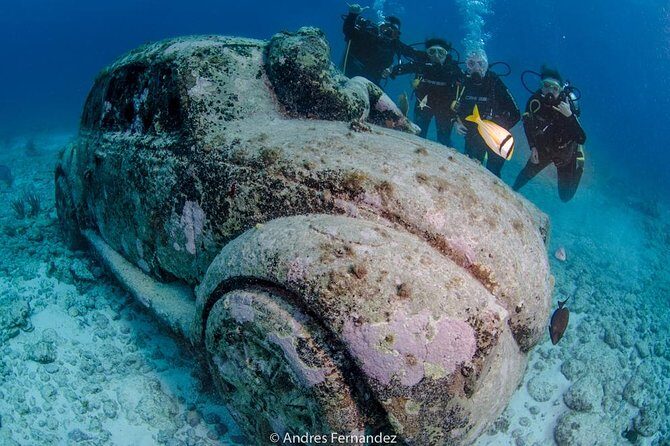 2 Tank Dives MUSA and Manchones reef (Certified divers) - Authentic Experiences and Review Highlights