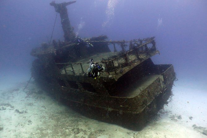2-Tank Morning or Afternoon Dives in Playa del Carmen certified Divers Only - FAQs