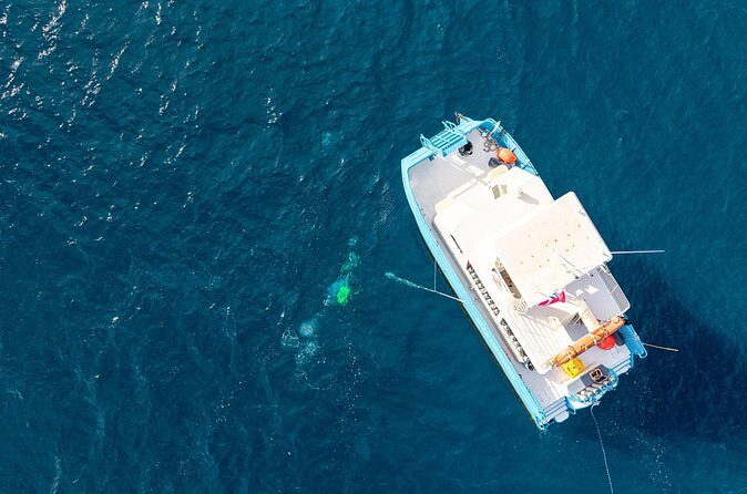 2 Tank Natural Reef & Wreck Dive Tour off Wai'anae - Logistics & Practical Tips