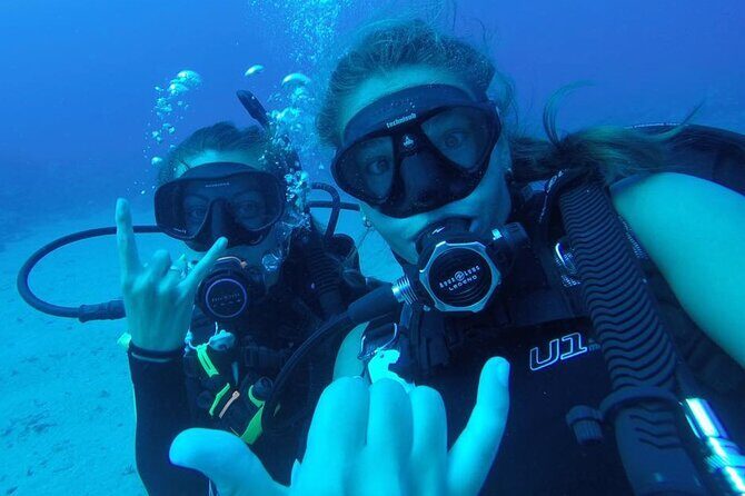 2 Tank Shore Dive at Sea Turtle Cove - The Sum Up