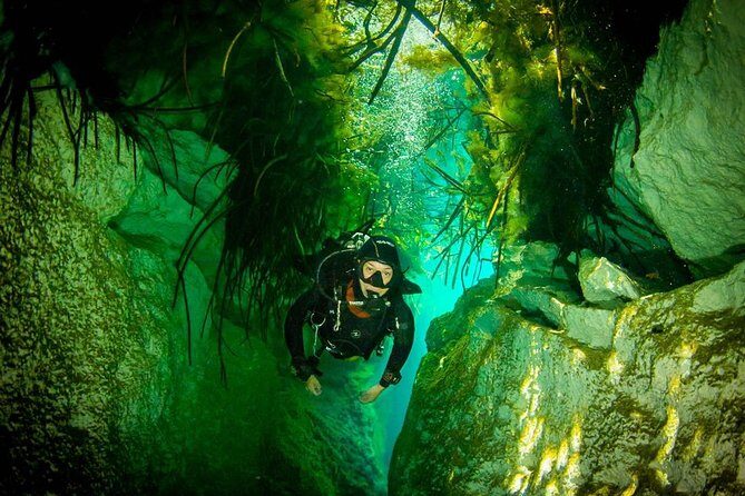 2 tanks Cenote Diving Adventure in Tulum for Certified Divers - The Diving Experience: What to Expect