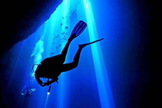 2 tanks Cenote Diving Adventure in Tulum for Certified Divers - Why This Tour Offers Excellent Value