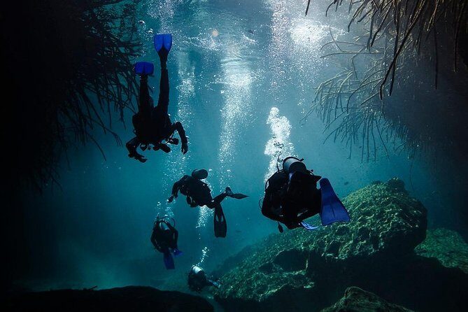 2 tanks Cenote Diving Adventure in Tulum for Certified Divers - Who Should Consider This Tour?
