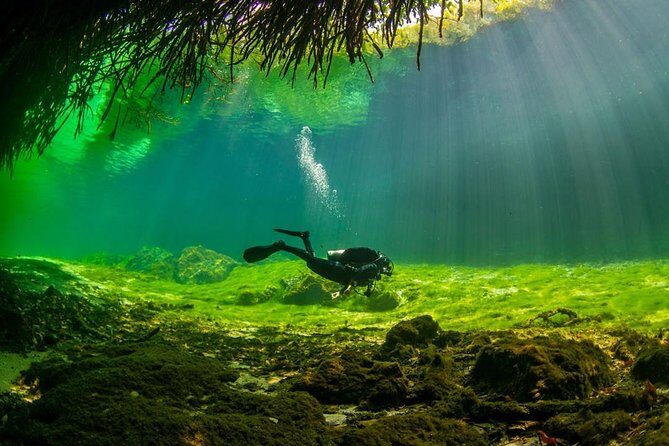 2 tanks Cenote Diving Adventure in Tulum for Certified Divers - The Sum Up