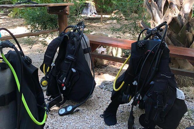 2 tanks Cenote Diving Adventure in Tulum for Certified Divers - FAQ