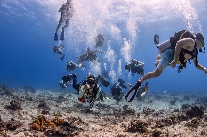 2 Tanks dives for Certified Divers in Cozumel - What’s Special About the Guides?
