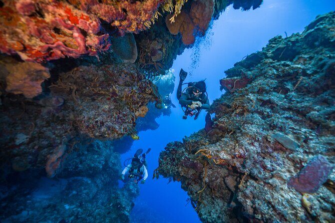 2 Tanks dives for Certified Divers in Cozumel - The Value of This Experience