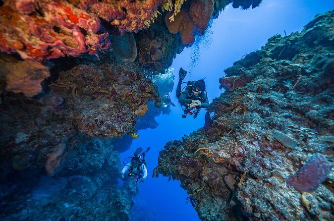 2 Tanks dives for Certified Divers in Cozumel - The Booking Process and Flexibility