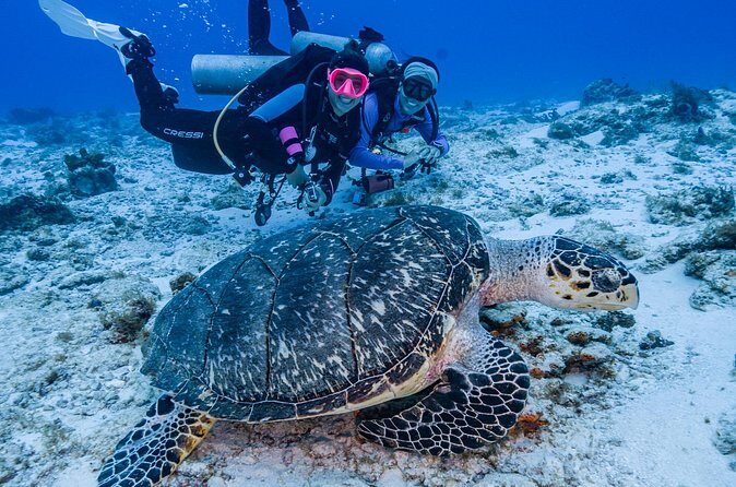 2 Tanks dives for Certified Divers in Cozumel - Critical Considerations
