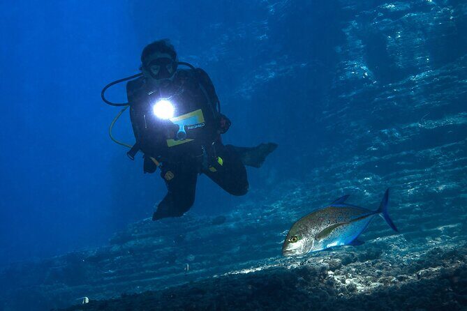 2 Tanks Scuba Dive Kaua'i from a Boat - Key Points