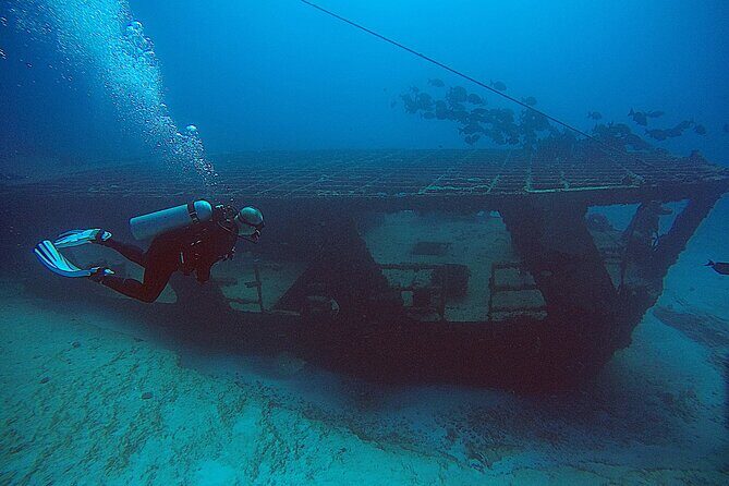 2 Tanks Scuba Diving Wreck and Reef in Cancun for Certified Divers - Who Will Love This Tour?
