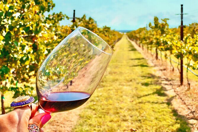 2 to 5 Guests Fredericksburg Private Mercedes SUV Wine Tour - An Overview of the Fredericksburg Wine Tour Experience