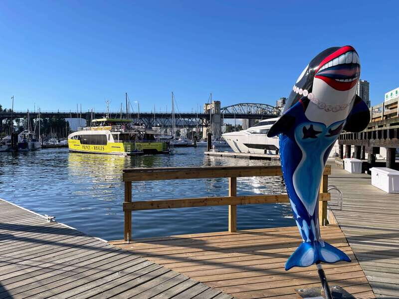 2 Unforgettable Hours in Vancouver - The Sum Up: Who Is This Tour Best For?