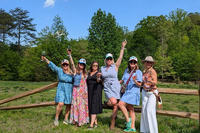 2 Vineyard Wine Tour of the Yadkin Valley - The Sum Up