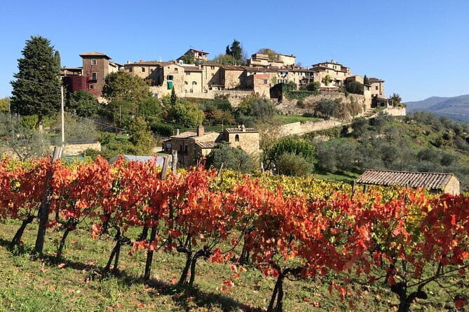 2 wineries Chianti Wine Tasting & Vineyards Walk Private Tour - The Itinerary in Detail: What to Expect