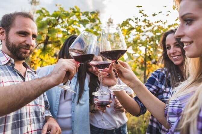 2 wineries Chianti Wine Tasting & Vineyards Walk Private Tour - Who Will Love This Tour?